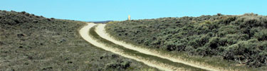 South Pass - virtually all emigrants passed through here on their way west.